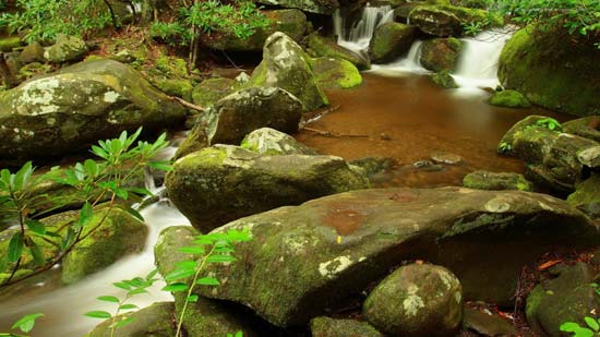 Nature Wallpapers