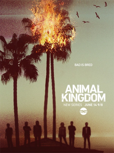 Animal Kingdom