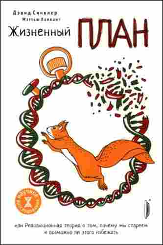 zhiznennyi_plan