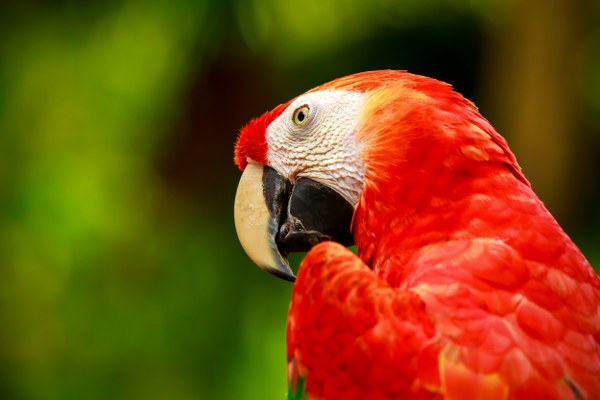 New Mixed HD Wallpapers Pack 364