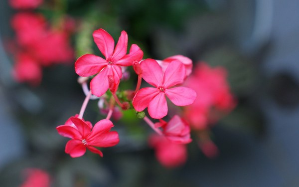 New Mixed HD Wallpapers Pack 306