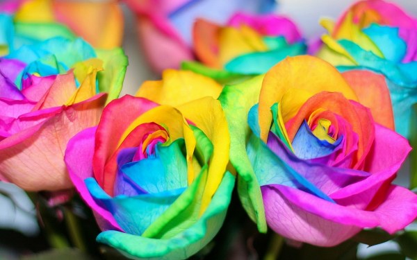 New Mixed HD Wallpapers Pack 307