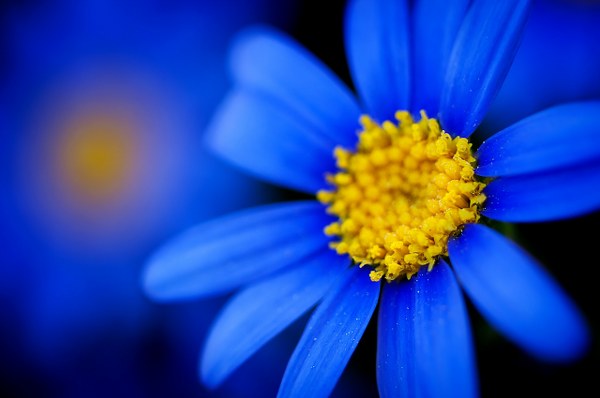 New Mixed HD Wallpapers Pack 250