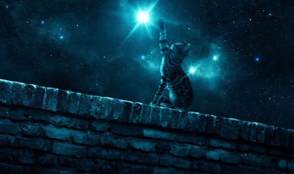 New Mixed HD Wallpapers Pack 261