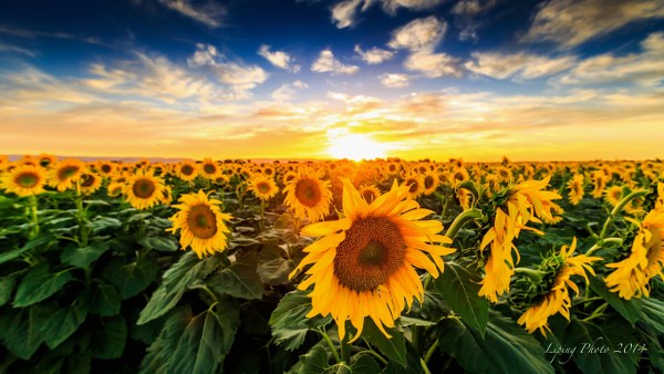 New Mixed HD Wallpapers Pack 283