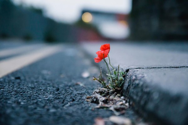 New Mixed HD Wallpapers Pack 200